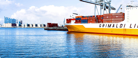 Discover True Buyers & Suppliers